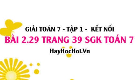 Giải bài 2.29 trang 39 Toán 7 Tập 1 SGK Kết nối tri thức